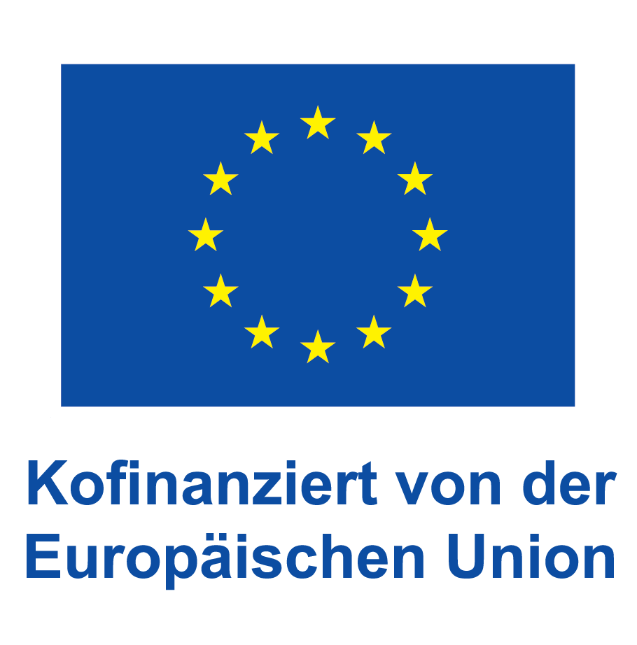 DE+V+Kofinanziert+von+der+Europischen+Union_POS